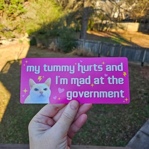 My Tummy Hurts and I'm Mad at the Government Funny Bumper Sticker or Magnet 7x3 image 9