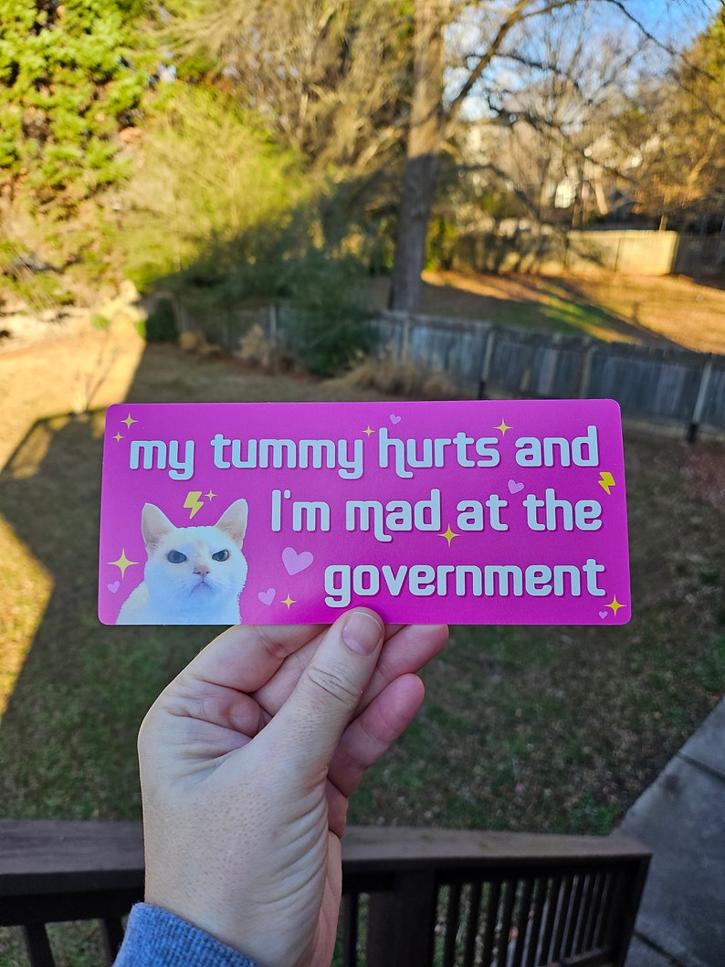 My Tummy Hurts and I'm Mad at the Government Funny Bumper Sticker or Magnet 7x3 image 9