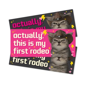 This is My First Rodeo Cat Funny Bumper Sticker or Magnet 7x3"