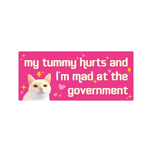 My Tummy Hurts and I'm Mad at the Government Funny Bumper Sticker or Magnet 7x3 Pink