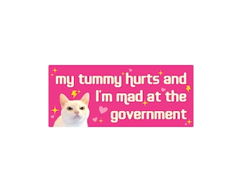 Funny Crying Cat Bumper Sticker or Magnet: Mad at Government Decal