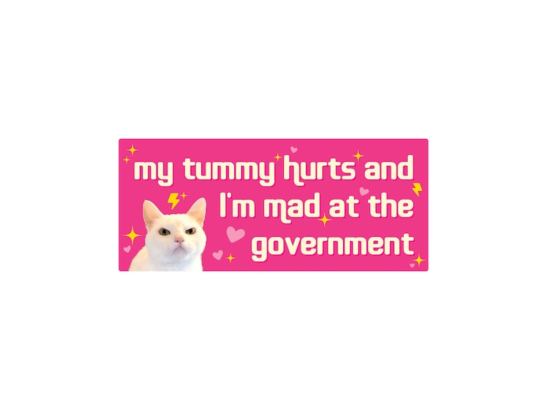 My Tummy Hurts and I'm Mad at the Government Funny Bumper Sticker or Magnet 7x3 Pink