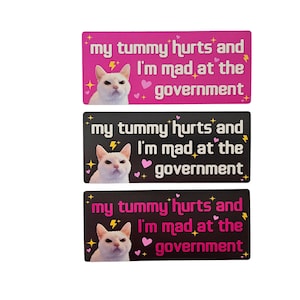 My Tummy Hurts and I'm Mad at the Government Funny Bumper Sticker or Magnet 7x3 image 5