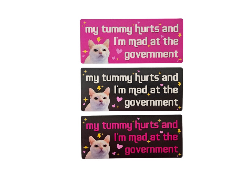 My Tummy Hurts and I'm Mad at the Government Funny Bumper Sticker or Magnet 7x3 image 5