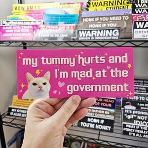 My Tummy Hurts and I'm Mad at the Government Funny Bumper Sticker or Magnet 7x3 image 6