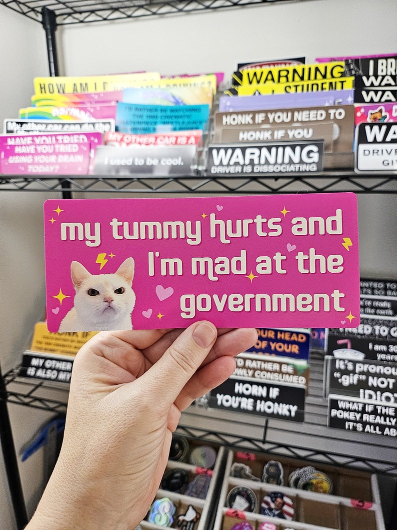 My Tummy Hurts and I'm Mad at the Government Funny Bumper Sticker or Magnet 7x3 image 6