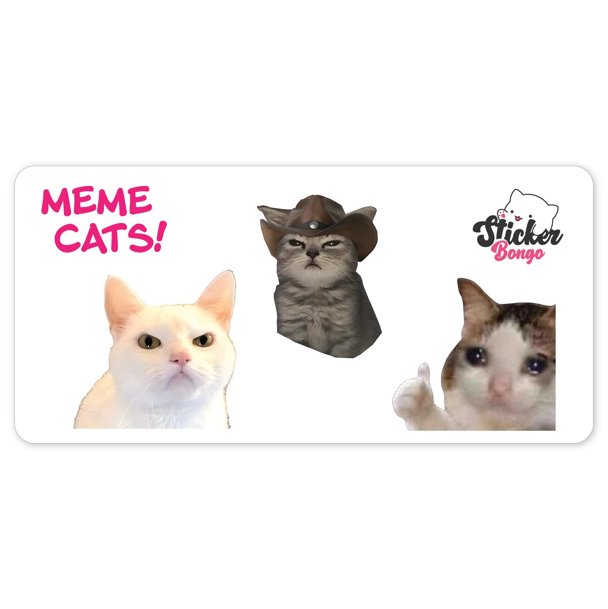 Meme Cats Sticker Sheet – 3 Funny Cat Stickers (2" Each) - Etsy