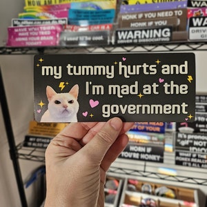 My Tummy Hurts and I'm Mad at the Government Funny Bumper Sticker or Magnet 7x3 image 7