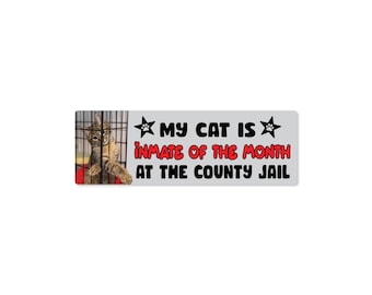 My Cat Is Inmate of the Month Bumper Sticker, Funny Cat Jail Car Decal, Bad Cat Sticker, Waterproof 9x3 Vinyl Sticker