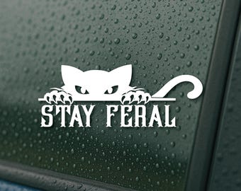 Stay Feral Cat Car Decal – Waterproof Vinyl Sticker