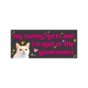 My Tummy Hurts and I'm Mad at the Government Funny Bumper Sticker or Magnet 7x3 Black p