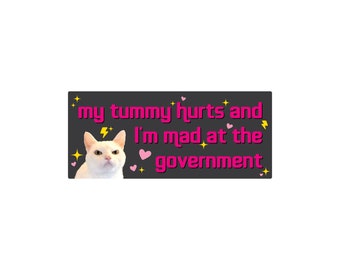 Funny Crying Cat Bumper Sticker or Magnet - Political Humor
