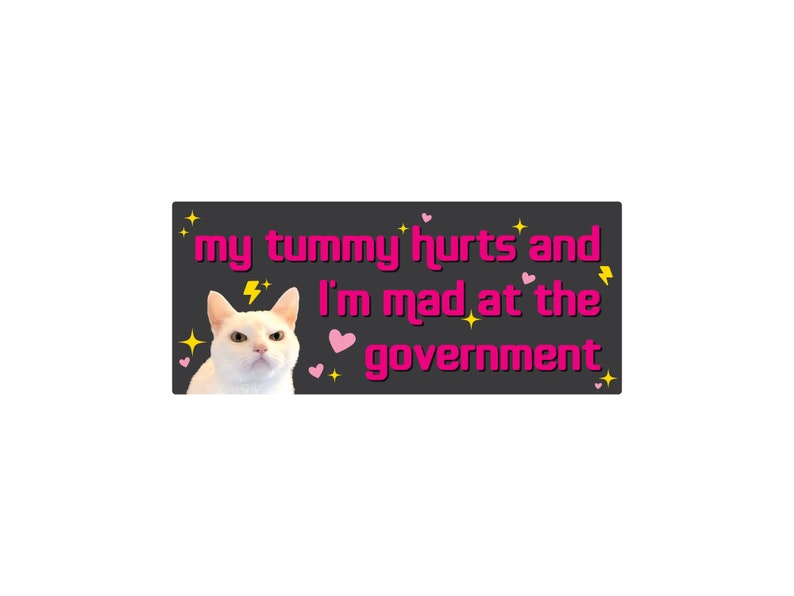 My Tummy Hurts and I'm Mad at the Government Funny Bumper Sticker or Magnet 7x3 Black p