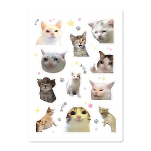 Meme Cats Sticker Sheet – 11 1.5&quot; stickers