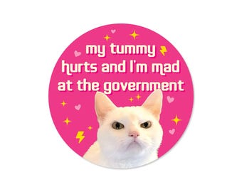 My Tummy Hurts and I’m Mad at the Government 3" Sticker