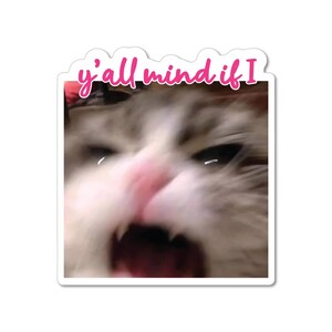 May include: A close-up of a cat's face with its mouth open wide, showing its teeth. The cat's fur is white and grey, and its eyes are wide open. The text "y'all mind if I" is written above the cat's head.