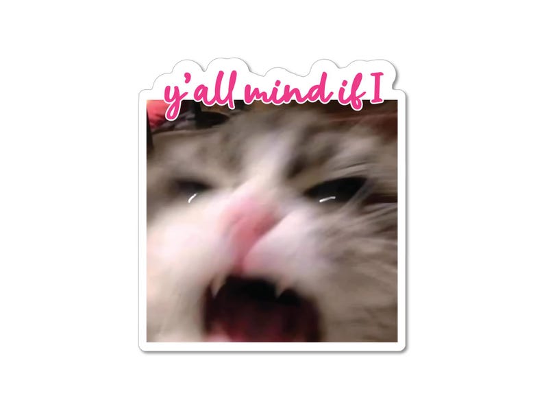 May include: A close-up of a cat's face with its mouth open wide, showing its teeth. The cat's fur is white and grey, and its eyes are wide open. The text "y'all mind if I" is written above the cat's head.