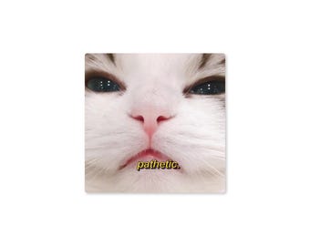 Pathetic Cat Sticker, Waterproof Funny Meme Vinyl Decal in Circle or Square Shape