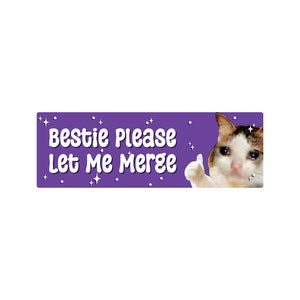 Bestie Please Let Me Merge Bumper Sticker or Magnet, Funny Crying Cat Car Decal, Anxious Driver Sticker, Waterproof Vinyl Purple
