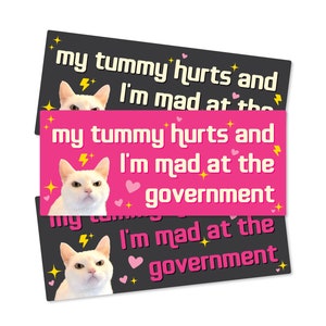 My Tummy Hurts and I'm Mad at the Government Funny Bumper Sticker or Magnet 7x3 image 1