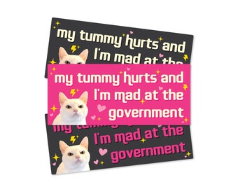 My Tummy Hurts and I&#39;m Mad at the Government Funny Bumper Sticker or Magnet | 7x3 Vinyl Car Decal | Political Satire Car Sticker