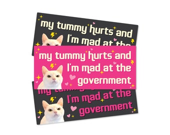 My Tummy Hurts and I'm Mad at the Government Funny Bumper Sticker or Magnet 7x3"