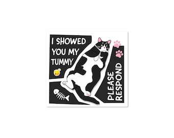 Showed You My Tummy Cat 3" Funny Vinyl Sticker, waterproof