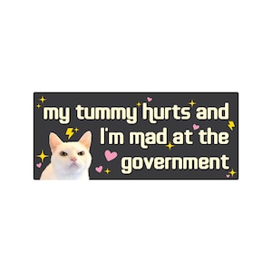 My Tummy Hurts and I'm Mad at the Government Funny Bumper Sticker or Magnet 7x3 Black b