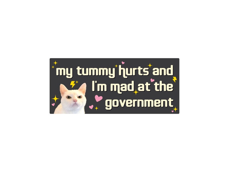 My Tummy Hurts and I'm Mad at the Government Funny Bumper Sticker or Magnet 7x3 Black b