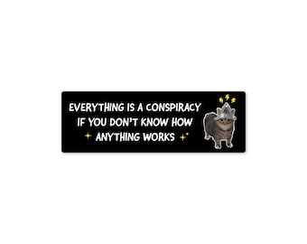 Everything Is a Conspiracy Theory When You Don’t Understand How Anything Works Cat – Waterproof Vinyl 7" Bumper Sticker