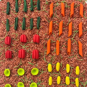 May include: A sensory play arrangement with food-themed components on brown rice. Green bean shapes, orange penne pasta, red pumpkin-like items, yellow corn shapes, and green vine-like features are arranged in a visually appealing manner.