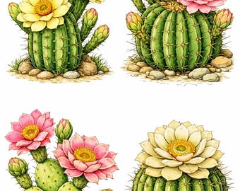 Succulents & Cacti - Realistic Botanical Coloring Book for Adults - 20 Pages · Printable PDF