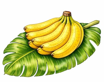 熟したバナナと熱帯の葉 - 大人のためのリアルな植物の塗り絵 - 20ページ · PDF印刷可能