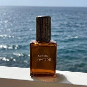 Olio profumato naturale LOWTIDE 30 ml / Fragranza botanica senza alcol / Bergamotto, salvia, vetiver