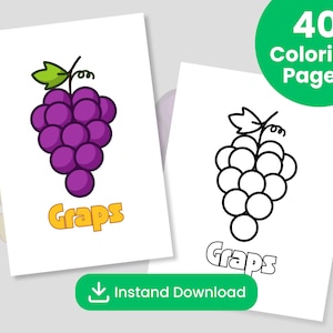 40 Fruit and Food Coloring Pages for Kids – Printable PDF/JPG | Cute Fruit Flashcards, ABC Activity, Summer & Kawaii Coloring Book