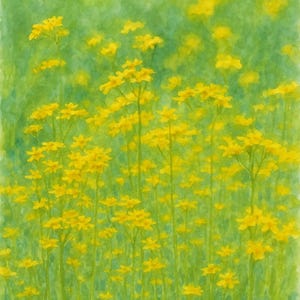 Yellow Wildflower Field