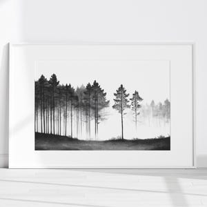 Whispering Grove — Vintage Stil Lithographie Wald Druck, Tusche Zeichnung, minimalistische Schwarz-Weiß Wald Kunst