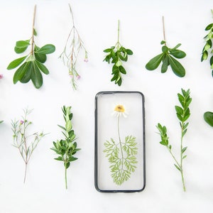 K&ouml;nnte beinhalten: Eine transparente Handyh&uuml;lle mit einer gepressten wei&szlig;en Blume und gr&uuml;nen Bl&auml;ttern im Inneren. Die H&uuml;lle ist umgeben von 10 Zweigen mit gr&uuml;nen Bl&auml;ttern und kleinen rosa Bl&uuml;ten auf wei&szlig;em Hintergrund.