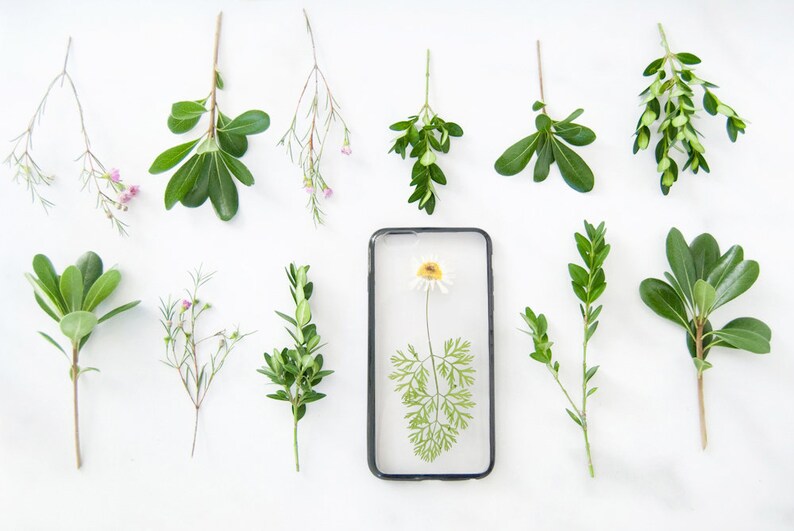 K&ouml;nnte beinhalten: Eine transparente Handyh&uuml;lle mit einer gepressten wei&szlig;en Blume und gr&uuml;nen Bl&auml;ttern im Inneren. Die H&uuml;lle ist umgeben von 10 Zweigen mit gr&uuml;nen Bl&auml;ttern und kleinen rosa Bl&uuml;ten auf wei&szlig;em Hintergrund.