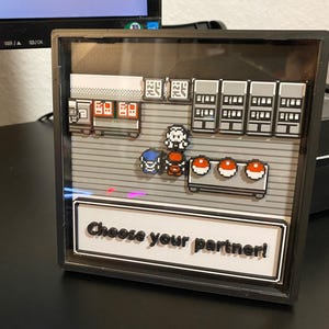 Könnte beinhalten: Ein 3D-Schattenkasten mit einer Pixel-Art-Szene aus einem Videospiel. Die Szene zeigt eine Figur, die vor einem Tisch mit drei rot-weißen Kugeln steht. Ein weißes Schild am unteren Rand zeigt den schwarzen Text, Choose your partner!