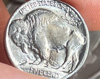 1913年バッファローニッケル - タイプ1 - アンティークで鮮明な