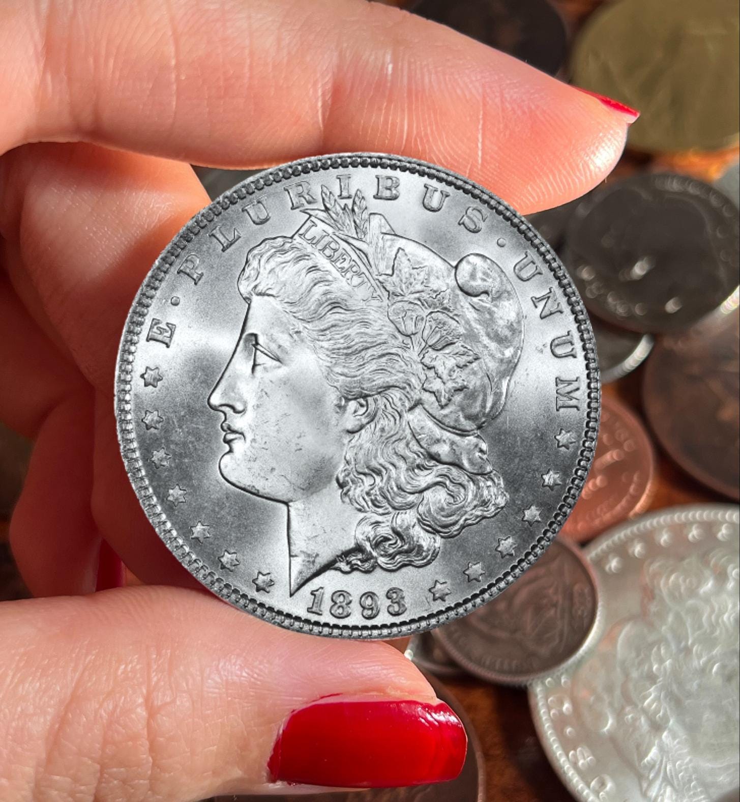 1895 morgan silver dollar - Etsy 日本