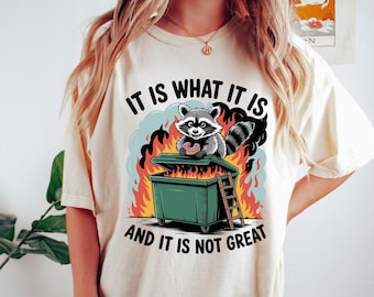 Dumpster Fire Raccoon Tee: Funny Sarcastic Comfort Colors Shirt