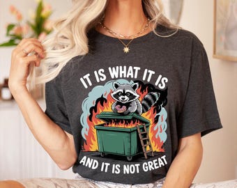 It Is What It Is Raccoon Shirt, Dumpster Fire Funny Shirt, Mental Health Awareness Tee, Humor Gift Shirt, Chaos Shirt, Retro Animal Shirt