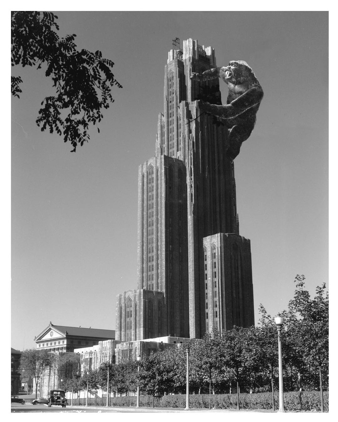 Pittsburgh Art University of Pittsburgh Digital Print Cathedral Gorilla
