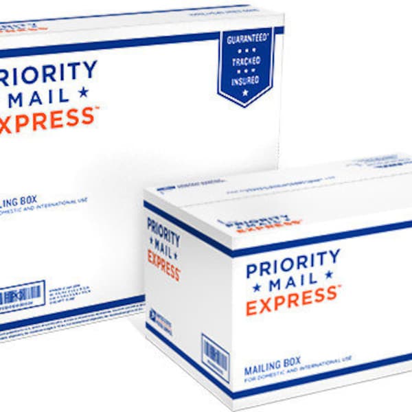 Priority EXPRESS Shipping Upgrade, Domestic Priority EXPRESS Shipping, Fast Shipping