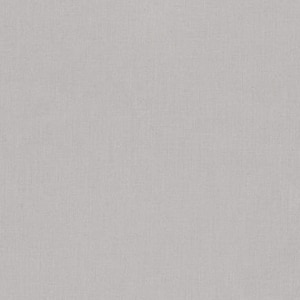 Kona Cotton Solid Fabric, ASH 1007, Quilting Cotton, SOLID Grey Fabric, Apparel Fabric, Robert Kaufman Fabrics