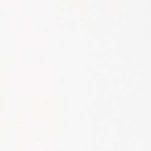 May include: A plain white background.