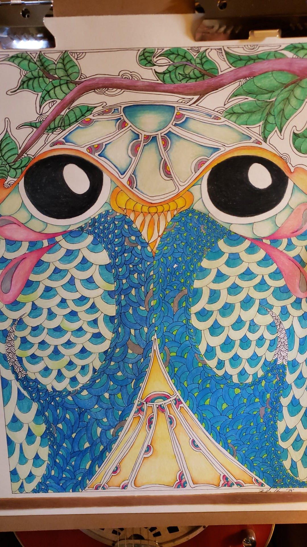 フクロウ、色鉛筆、ペン、インク - Etsy 日本