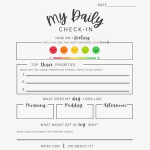 May include: A white daily check-in planner with the text "my Daily CHECK-IN". It includes sections for mood, priorities, daily schedule, potential obstacles, and actions. The planner has a section to track if goals were met.